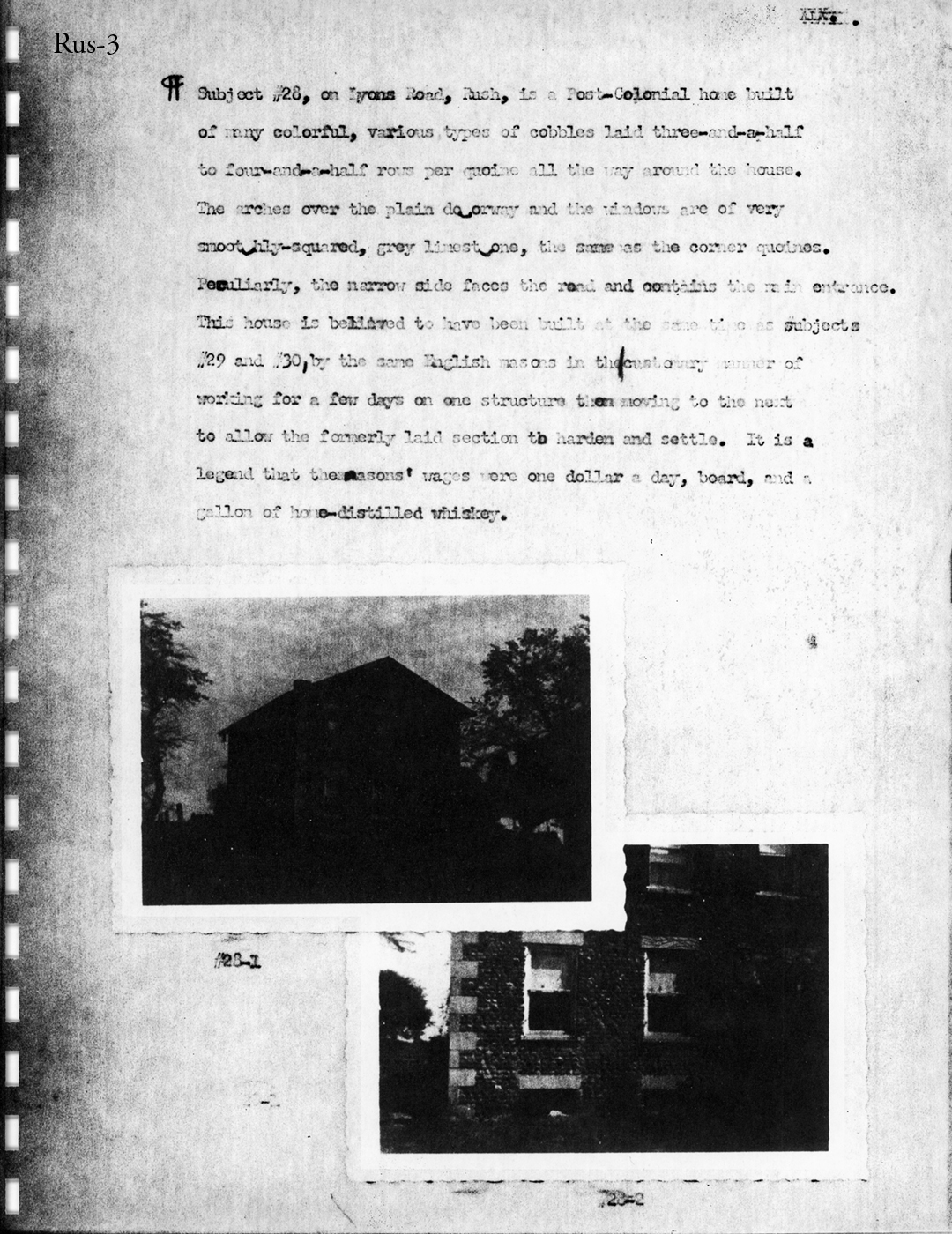 Wood Survey P19 19550618